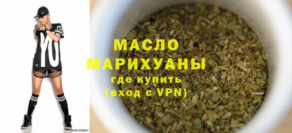 молекула духа Бородино