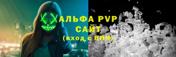 молекула духа Бородино