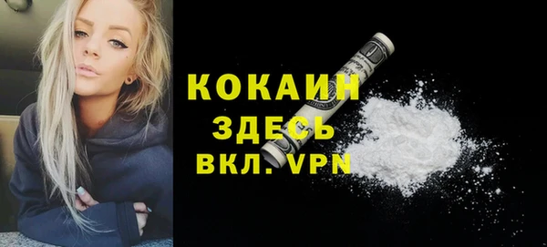 шишки Верея
