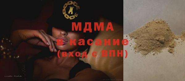 шишки Верея