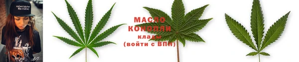 шишки Верея