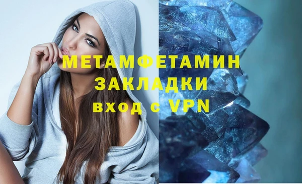шишки Верея