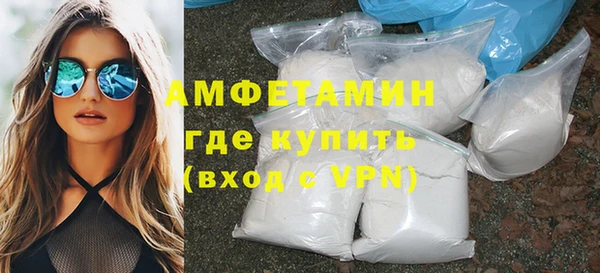 молекула духа Бородино