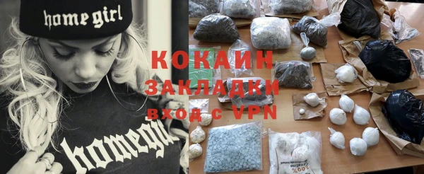 шишки Верея