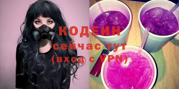 бошки Снежногорск