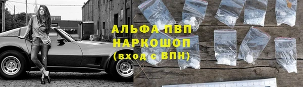 молекула духа Бородино