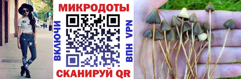 где купить наркоту Северобайкальск Галлюциногенные грибы MAGIC MUSHROOMS